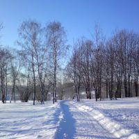 Winter Morning, Новобратцевский