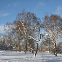 Winter in Moscow (Park Mitino), Новобратцевский