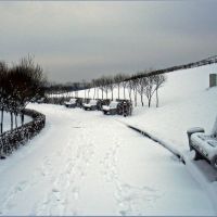Зимняя послеобеденная прогулка / Winter walk after lunch, Новоподрезково