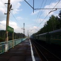 Платформа Аникеевка, Опалиха