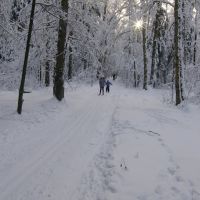 лыжня от мытищ, Пироговский