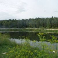 Pond, Правдинский