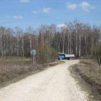 Дорога к лесу, Пролетарский