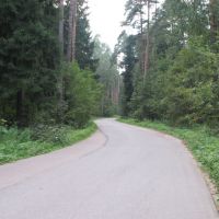 The road to the forest / Дорога в лес, Пушкино