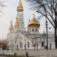 Theophany Temple of the Virgin-Icon, Пушкино