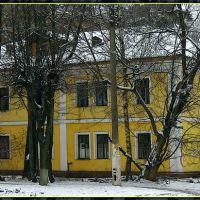 Дом на ул.Чехова., Пушкино