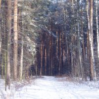 Winter in Ramenskoe, Раменское