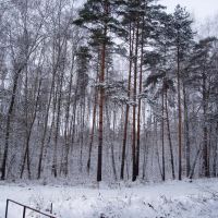 Winter in Ramenskoe, Раменское