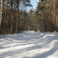 Зимняя дорога. Winter road, Рублево