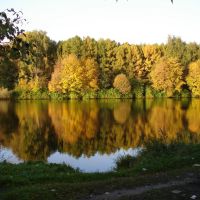 Озеро жёлтое, Салтыковка