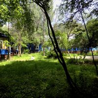 Территория лагеря, Салтыковка