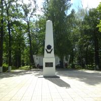 Памятник, Салтыковка