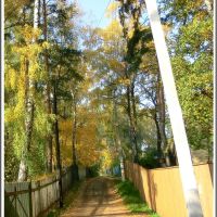 Autumn street, Томилино