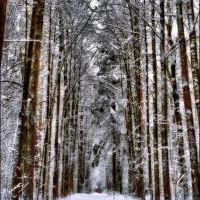 Winter road, Томилино