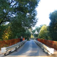 Мост через Десну, Троицк