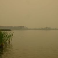 Сушь 2010. Свиношное озеро во мгле, Туголесский Бор