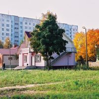 A View of Tuchkovo, Тучково