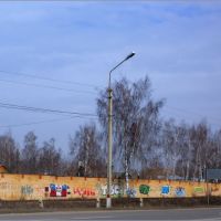 Быковские графитти, Удельная