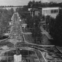 Вид аллеи с крыши штаба (1976), Удельная