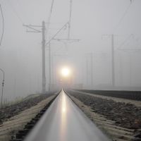 Light in the fog, Черкизово