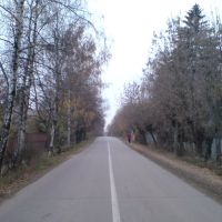 дорога к университету, Черкизово