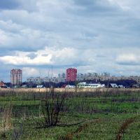 Chernogolovka Field, Черноголовка