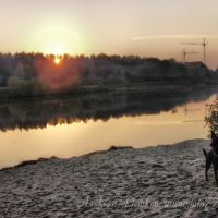 закат и собака, Черноголовка