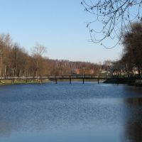 Пруд и мост, Чехов