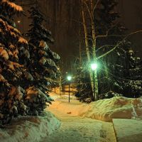 Зимний вечер, Чехов