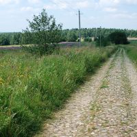 200 Years Road, Шарапово