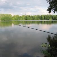 Lake at Electrogorsk, Электрогорск