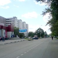 ул.Тевосяна, Электросталь