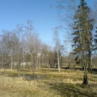 Весна в ГИЦИУ КС, Краснознаменск