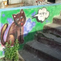 Граффити, Кандалакша