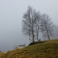 Ковдор, туман над озером., Ковдор