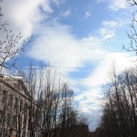 sky over the school, Кола
