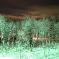 Зимний лес, Мурмаши