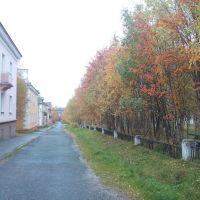 Золотая осень в Оленегорске., Оленегорск