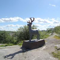 Панорама Североморска - Первый памятник - Олень - Panorama Severomorsk - first monument - Deer, Североморск