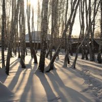 Зимний лес, Венгерово