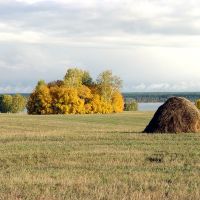 Осеннее поле, Михайловский