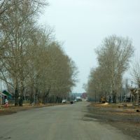 Панрушиха, центральная улица, Михайловский