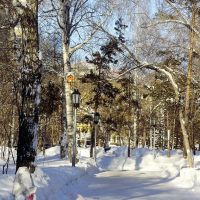 Зима в парке2, Новосибирск