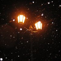 "Ночь, улица, фонарь..." / Streetlight in the Night..., Новосибирск