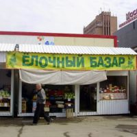Эх, елки-палки...огурки-помидорки..., Новосибирск