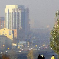 Осень в Новосибирске., Новосибирск