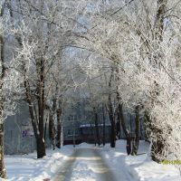 Омская зима, Любинский