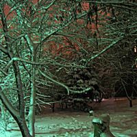 Полночь после снегопада = Midnight after a snowfall, Омск