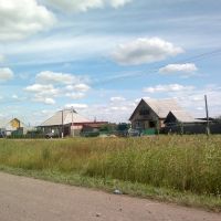 добротные дома, рядом с дорогой, Тюкалинск