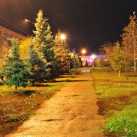 Парк ночью, Бузулук